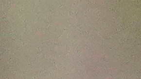 Romeo Santos iniciará una gira en mayo por Estados Unidos.