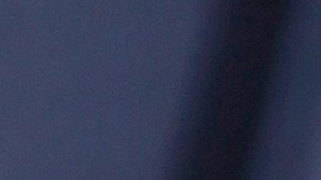 Nadia Ferreira y Marc Anthony contrajeron nupcias en enero de 2023.