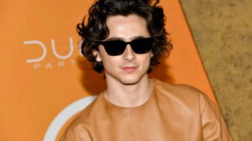 Timothé Chalamet protagonizará el biopic sobre Bob Dylan.