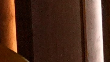 Los Premios Oscar 2024 reunieron a una gran cantidad de artistas, actores, directores, productores y más