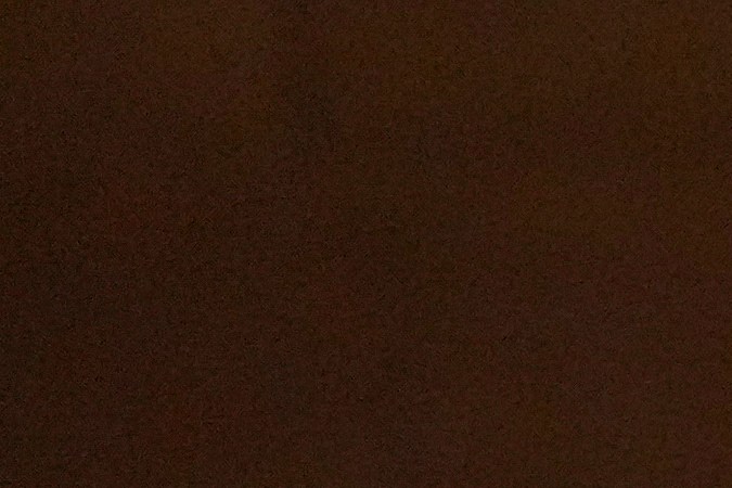 Bad Bunny y Dwayne Johnson presentaron el premio a Mejor Película Internacional