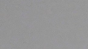 Bad Bunny se presentó en 'Los Ángeles'