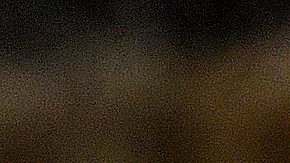 Shakira no solo es cantante, pues posee varias carreras universitarias.