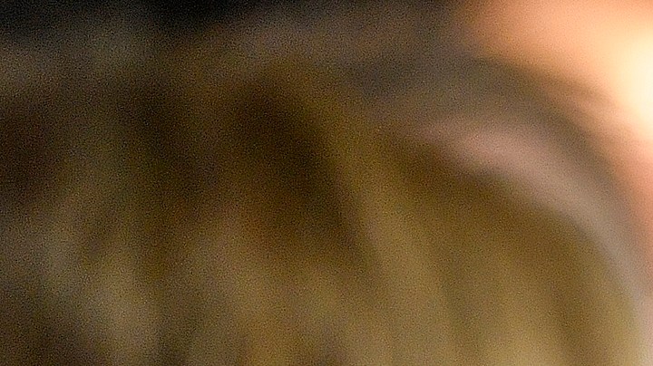 Shakira no solo es cantante, pues posee varias carreras universitarias.