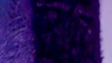 Danna Paola en la alfombra roja de la 20a edición de Premios Juventud (Univision) desde el histórico Coliseo de Puerto Rico José Miguel Agrelot/San Juan, PR, 20 de julio 2023.