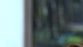 Roberto Gómez Bolaños "Chespirito" y Florinda Meza en el anuncio del regreso de la obra "11 y 12"/México, 09 de Junio, 2007.