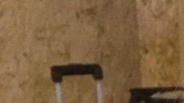 Mayeli Alonso tuvo un matrimonio durante casi una década con Lupillo Rivera