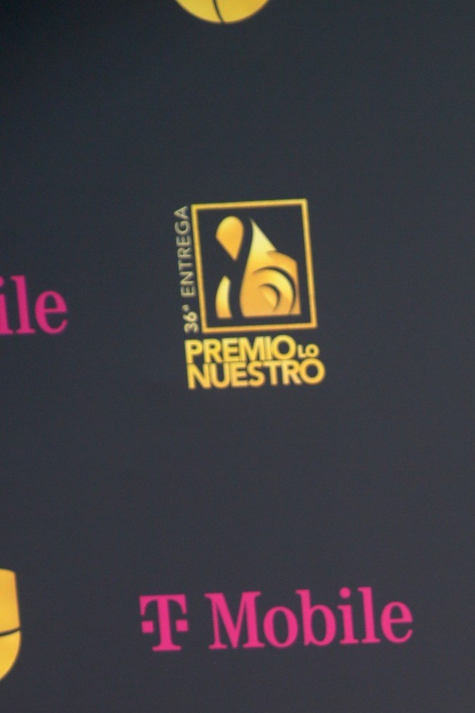 Adamari López durante su paso por la alfombra rosa en la última edición de Premios Lo Nuestro.