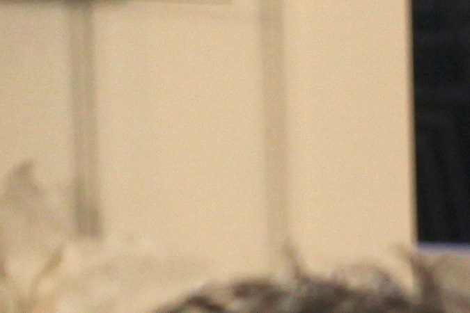 Elizabeth Gutiérrez y David Chocarro durante los ensayos de la telenovela ‘El Rostro de la Venganza’