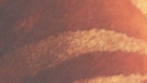 Cantante rusa asegura que Karol G plagió uno de sus temas musicales.