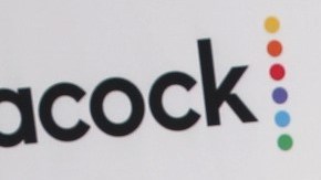 Nadia Ferreira y Marc Anthony comparten un hijo llamado Marc Anthony Jr.