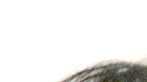 Selena Quintanilla falleció el 31 de marzo de 1995 tras recibir un disparo de Yolanda Saldivar.