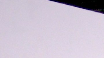 Wendy Guevara se ha convertido en una de las celebridades más buscadas de internet.