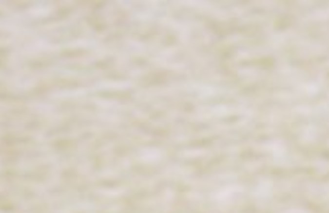 William Levy y Elizabeth Gutiérrez se reconciliaron tras una mediática separación.