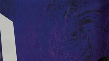 Fuerza Regida recibió amenazas de muerte en Cancún