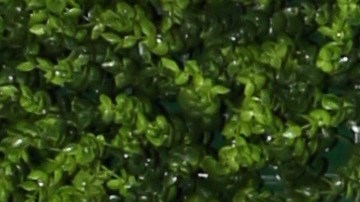 Elizabeth Gutiérrez y William Levy anunciaron su separación hace pocas semanas