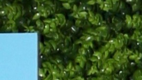 Elizabeth Gutiérrez y William Levy estuvieron juntos durante 20 años.