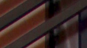 Daniel Bisogno volvió a 'Ventaneando'.