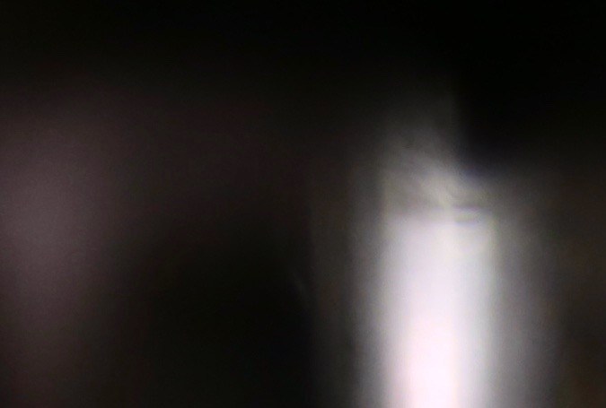 Christopher Alexander es el hijo mayor de Elizabeth Gutiérrez y William Levy.