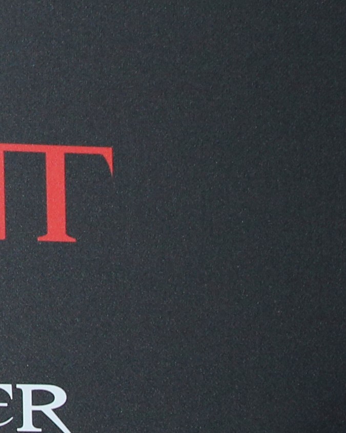 William Levy y Elizabeth Gutiérrez en la alfombra roja del estreno mundial de ‘Resident Evil: The Final Chapter’ en Los Ángeles en enero de 2017.