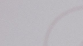 Adamari López y sus ex parejas no dejan de ser noticia en la actualidad.