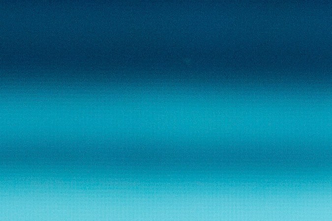 Pitbull anunició nueva gira.