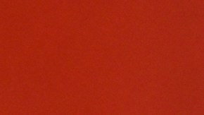 Sofía Vergara se dio otra oportunidad en el amor.