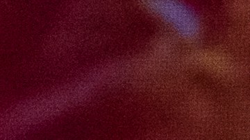 Shakira saldrá de gira para finales de este 2024.