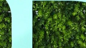 William Levy acompañó a Elizabeth Gutiérrez en el lanzamiento de su propia línea de cremas para el cuidado de la piel, “ELY by Cassia Cardoso”/Miami, 1 de marzo 2017.