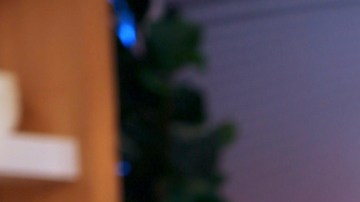 Jomari Goyso en "Despierta América" (Univision)/Miami, 26 de marzo 2024.