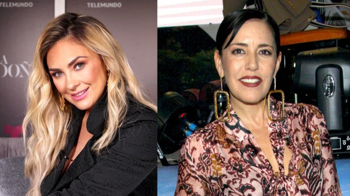 Aracely Arámbula y Stephanie Salas han sido parejas de Luis Miguel, ambas tienen hijos en común con el cantante.