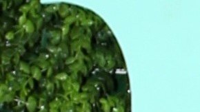 Elizabeth Gutiérrez confirmó su ruptura con William Levy.