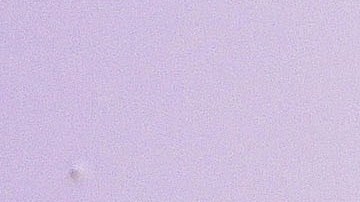 Elizabeth Gutiérrez regresó a su gran pasión, la actuación.