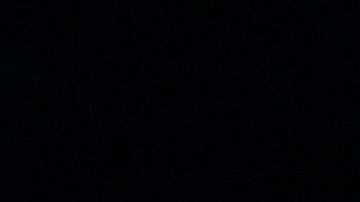 Michelle Renaud y Matías Novoa esperan a su primer hijo juntos.