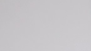 Nadia Ferreira y Jennifer Lopez mantienen una obsesión con los bolsos.