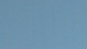 William Levy se separó de Elizabeth Gutiérrez