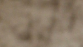 Aleska Génesis no llegó a la gran final de 'La Casa de los Famosos 4'.