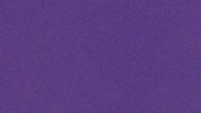 Alejandra Espinoza aclaró el rumor sobre una supuesta discusión con Thalía.