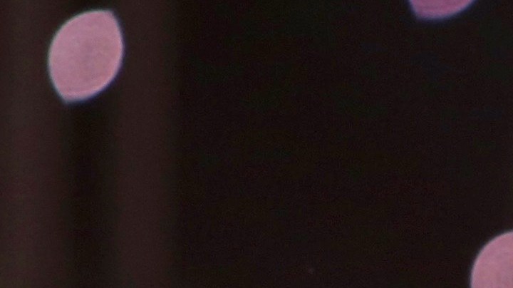 Cristian Castro terminó definitivamente con Mariela Sánchez.