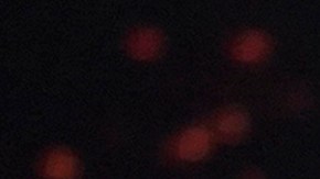 Raphy Pina y su pareja Natti Natasha en los Premios Lo Nuestro 2021.