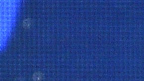 Madonna fue demandada por una persona que asistió a su concierto en California.