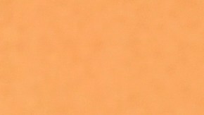 Varias casas de moda rechazaron vestir a Zendaya.