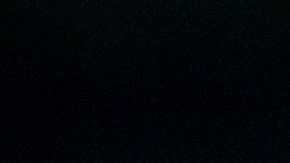 Shakira tuvo que esquivar a un hombre que intentó besarla.