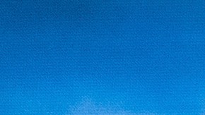 Shakira cantará uno de los temas oficiales de la Copa América USA 2024.