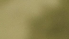 Eiza González cautivó a todos en la MET Gala 2024.