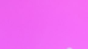 Maripily Rivera celebra su triunfo en la cuarta temporada de "La Casa de los Famosos" con las presentadoras Aleida Ortiz, Andrea Meza, Chickybombom y los participantes Geraldine Bazán y Clovis Nienow en el programa "En Casa con Telemundo" (Telemundo)/Miami, 21 de mayo 2024.