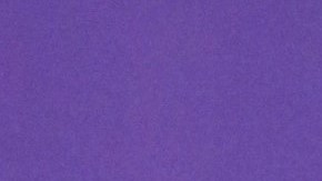 Nadia Ferreira y Marc Anthony presentaron a su bebé en las redes sociales.