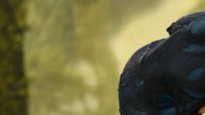 Nueva información sobre la reconciliación de Bad Bunny y Kendall Jenner