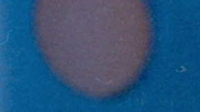 Paco Stanley condujo el programa de variedades "Una tras Otra"/México, 1999.