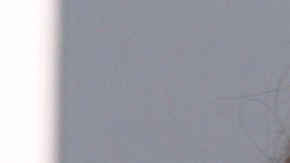 Rihanna, Katie Perry, Taylor Swift y más en la alfombra de la 55 entrega de los Premios Grammy/Los Angeles, 10 de febrero 2013.